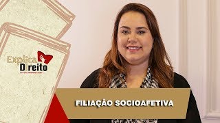 Explica Direito Filiação Socioafetiva  2019 [upl. by Arva]