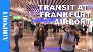 TRANSIT WALK AT FRANKFURT Airport FRA Terminal 1  Connection Flight Transfer Arriving amp Departing [upl. by Lamond]